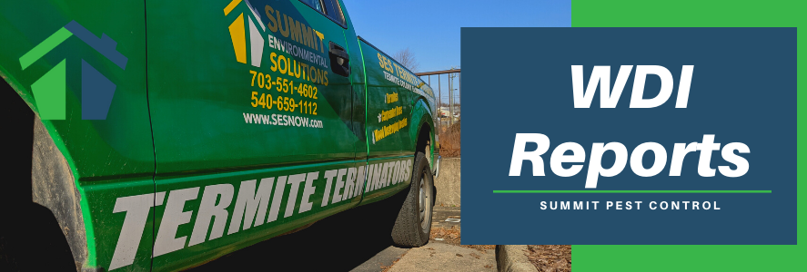 WDI Reports - Summit Wildlife Removal