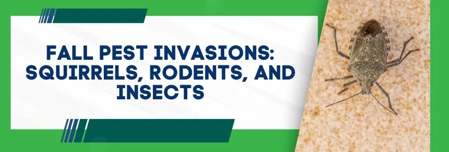 Fall Pest Invasions Squirrels, Rodents, and Insects