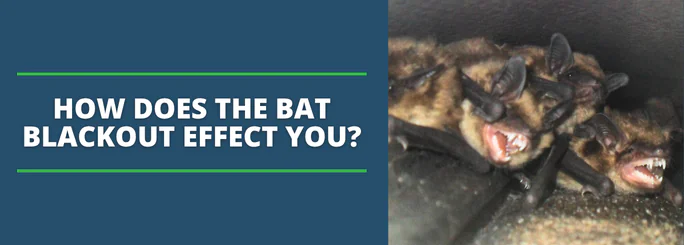 Bat blackout period